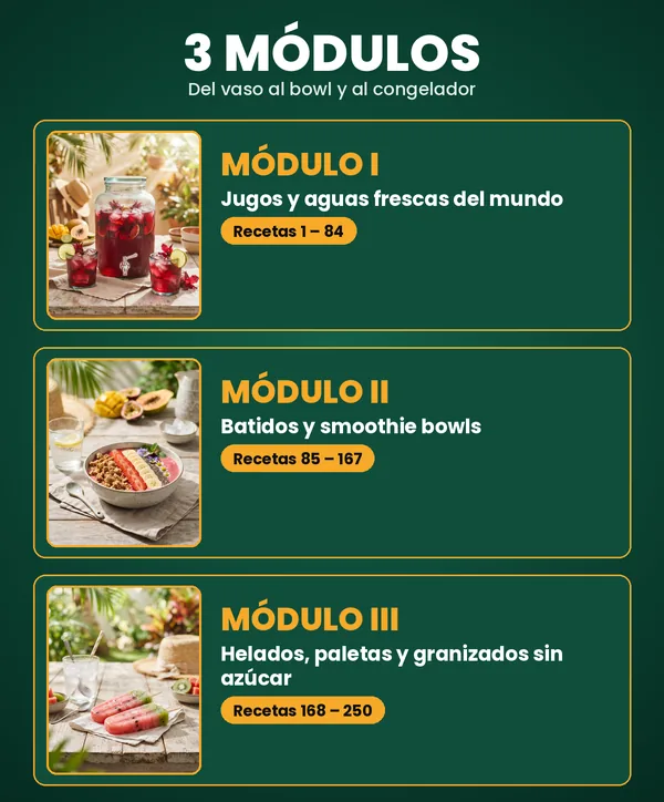 Los 3 módulos del recetario de jugos, batidos y helados